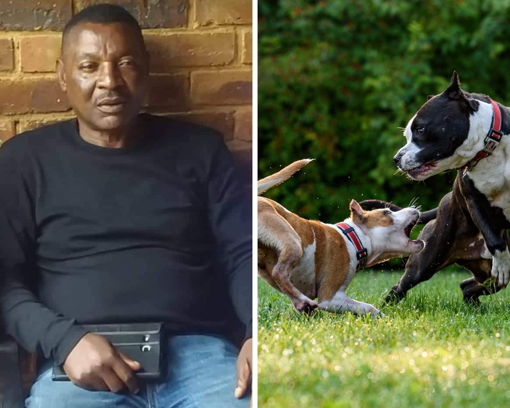 Ex-futebolista morto pelos próprios cães. Mulher encontrou corpo no jardim de casa