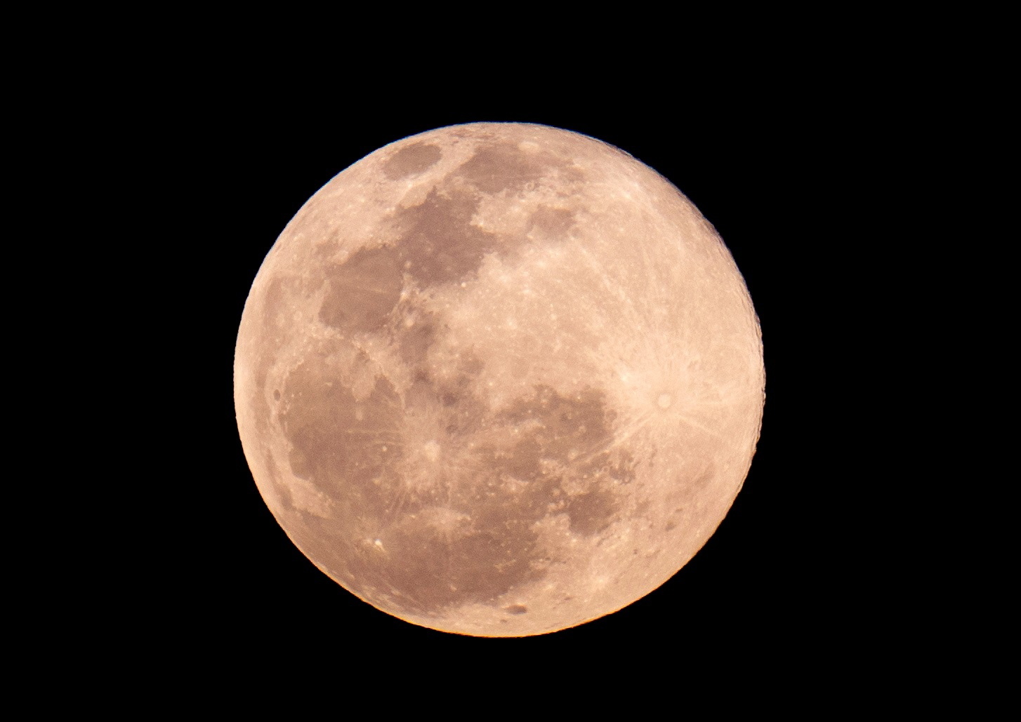 De um antigo armazém de bananas nasceu uma florista. Mille Fleurs Atelier abre este sábado