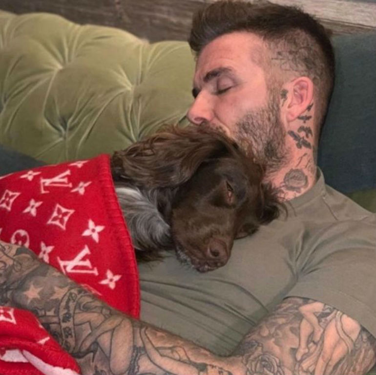 Fotografia de David Beckham com o cão causa polémica