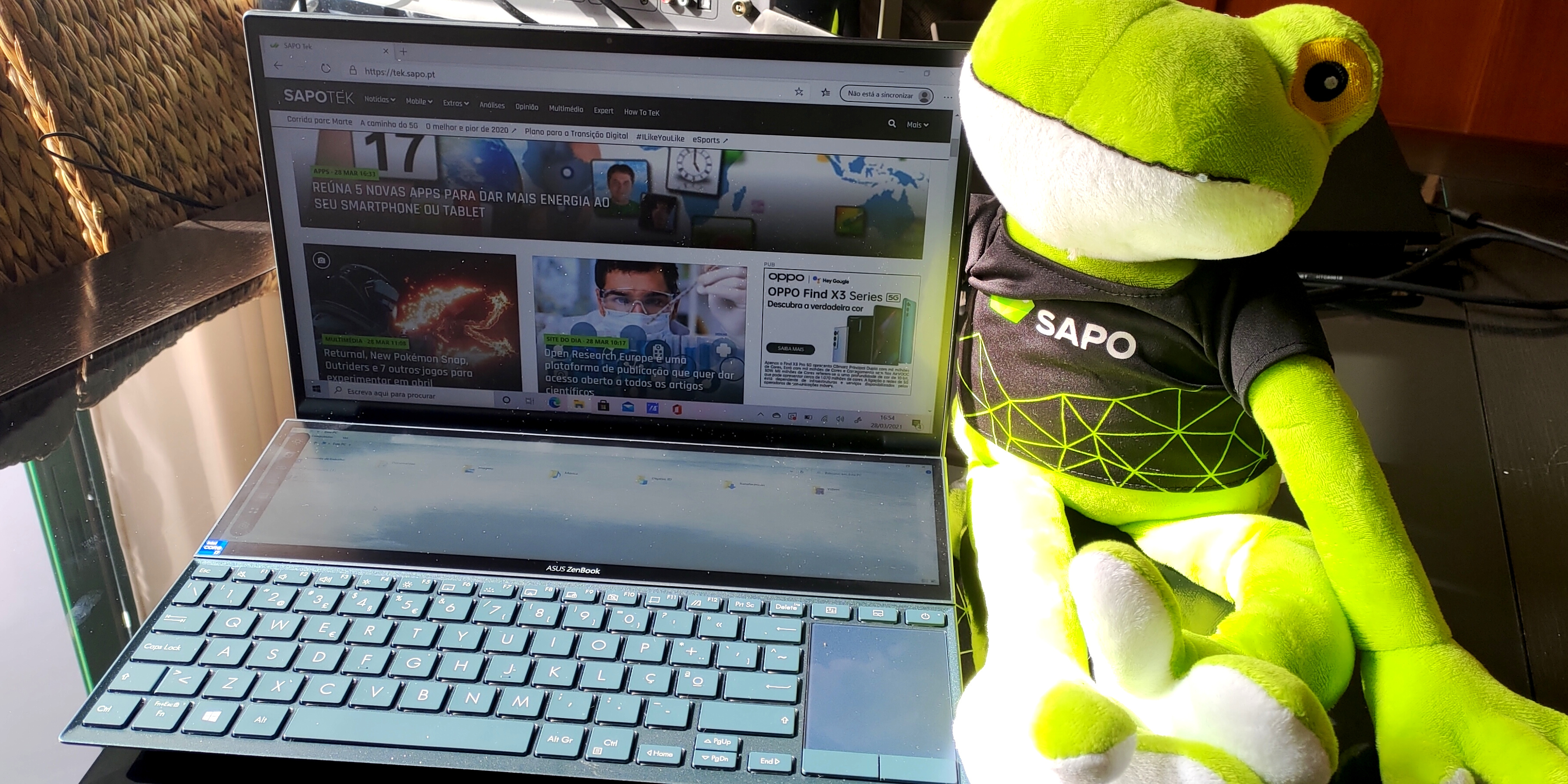 Pub recebeu uma estrela no Tripadvisor por causa de um cão que pediu comida a clientes. A proprietária não se deixou ficar