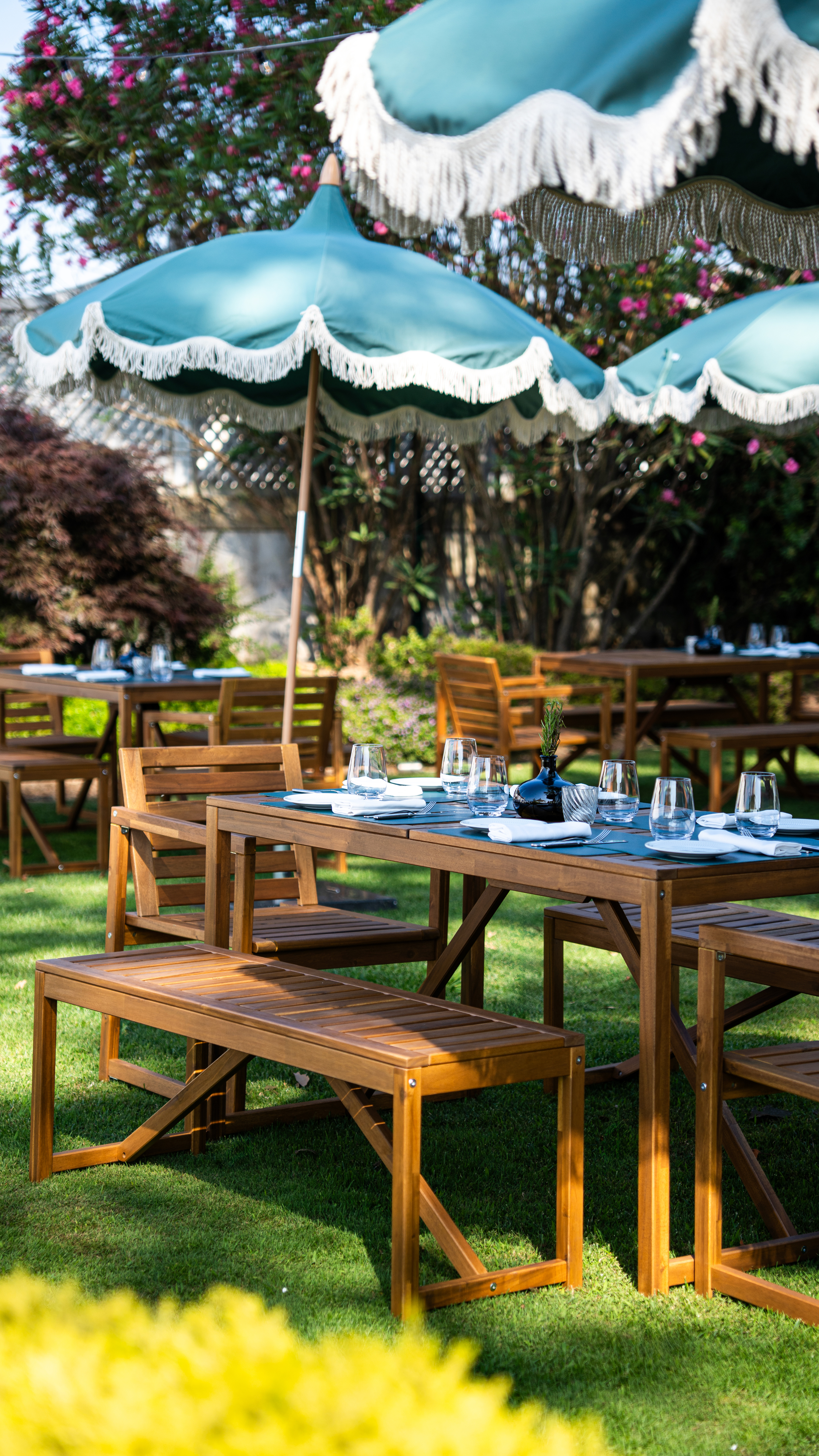 Refeições na grelha e uma vista deslumbrante. Este novo spot nortenho está à sua espera (com menu de preço fixo)