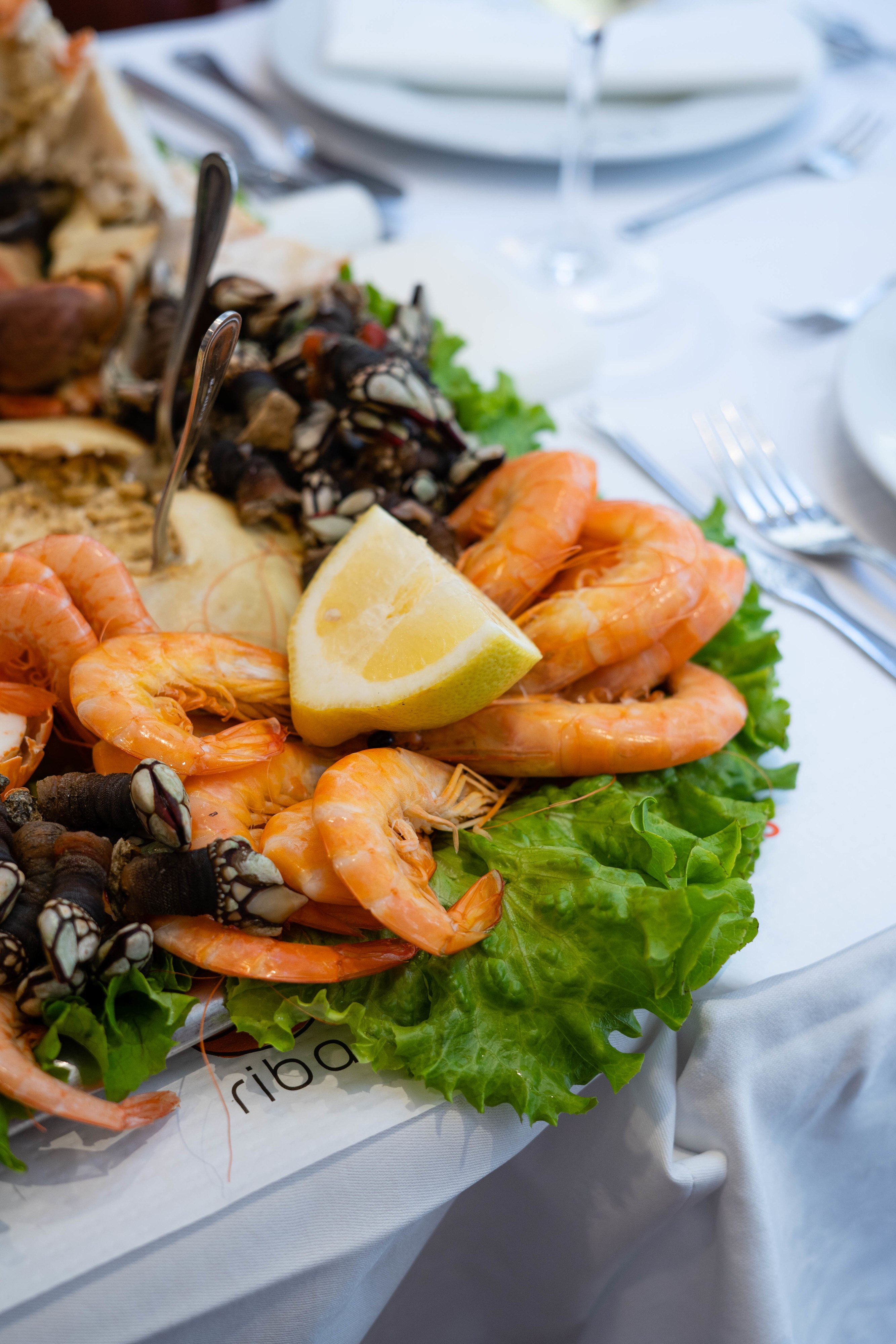 A Cervejaria Ribadouro celebra 75 anos. Uma razão por década para juntar-se à festa