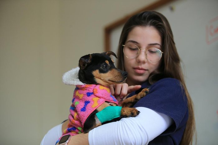 Libertado o homem que sufocou cadela com uma corda e enterrou-a viva