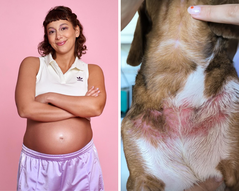 Mónica Vale de Gato denuncia maus-tratos em hotel para animais. “Nunca pensei que o cão estivesse assim”