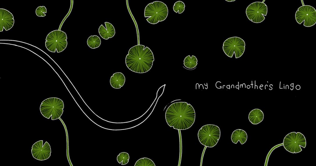 Salve o dialeto aborígene Marra da extinção em My Grandmother’s Lingo