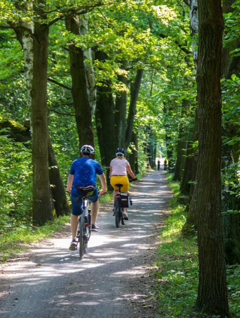 Dia do Pai. 20 sugestões de prendas para os pais desportistas (a partir de 5,99€)