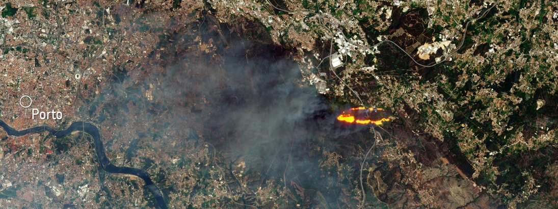 Imagem de satélite mostra impacto impressionante dos incêndios em Portugal
