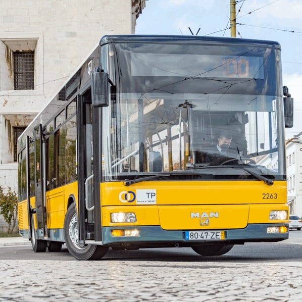 Nova Carris começa a operar na margem sul. Saiba o que muda e quando chega a mais municípios