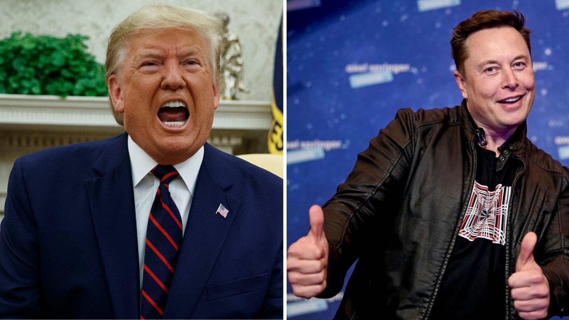 Trump e Musk de costas voltadas. Ex-aliados estratégicos tecem ameaças e acusações