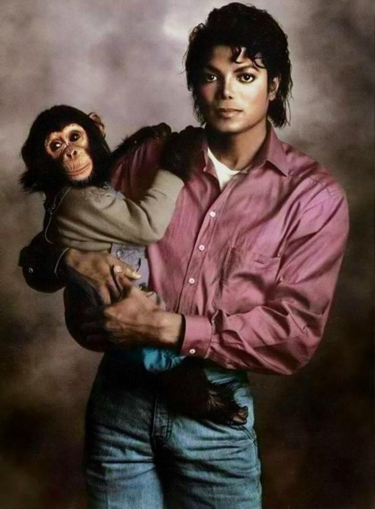 Chimpanzé de Michael Jackson tentou suicidar-se. “Quando ele estava com o cantor, sofria agressões físicas”