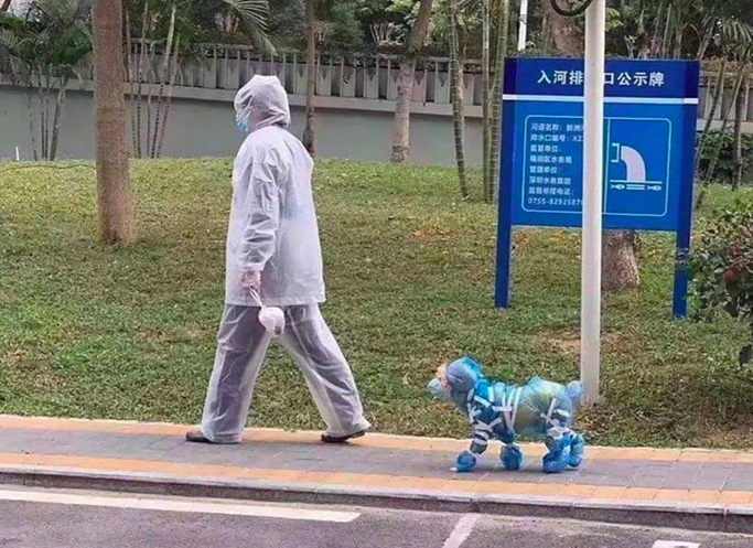 Vai rir-se a recordar 25 coisas que fazíamos há 4 anos quando estávamos confinados (e hoje são só parvas)