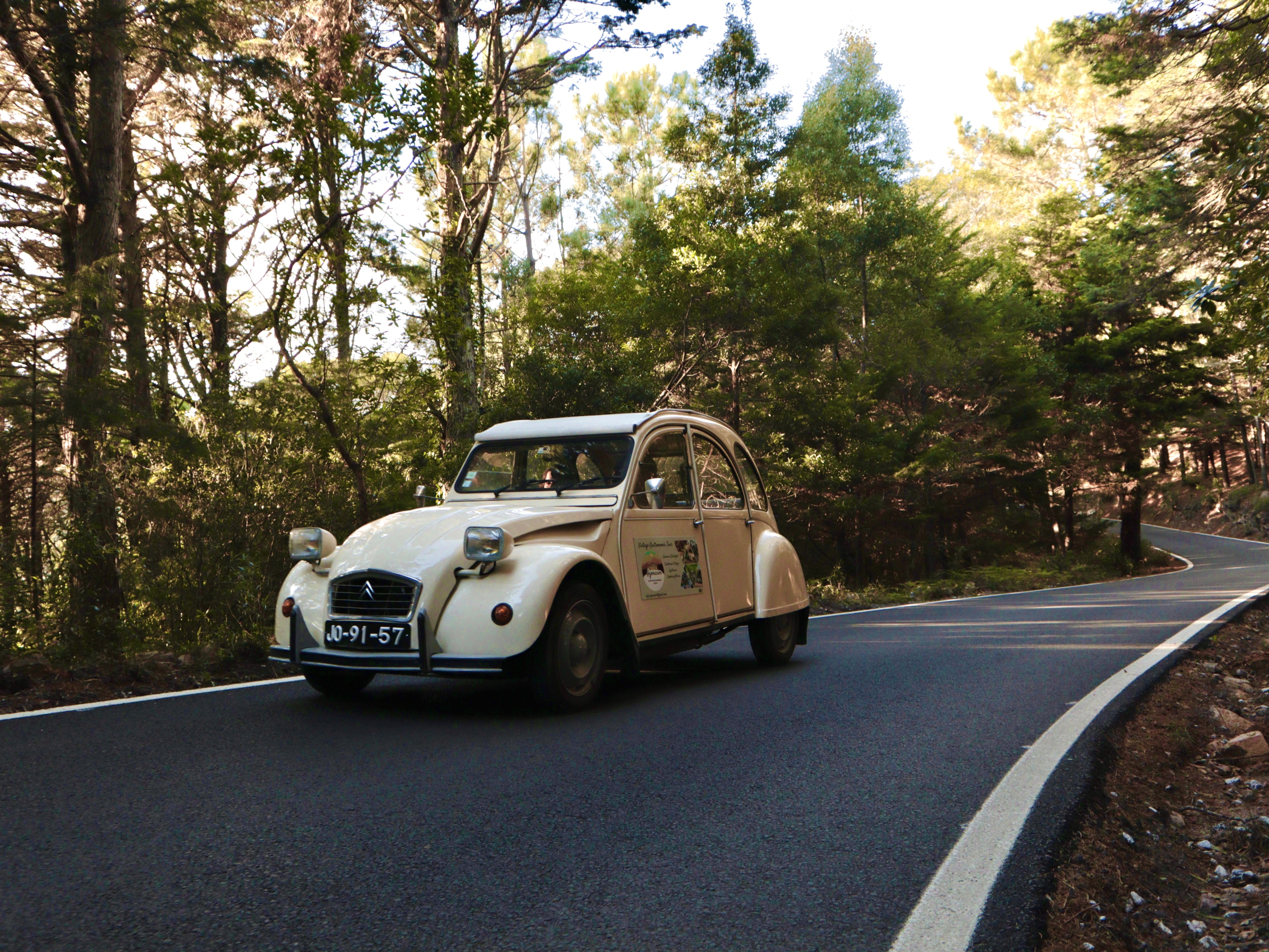 Agorasim. Este carro vai levá-lo a cascatas secretas com paragem para pastéis de bacalhau