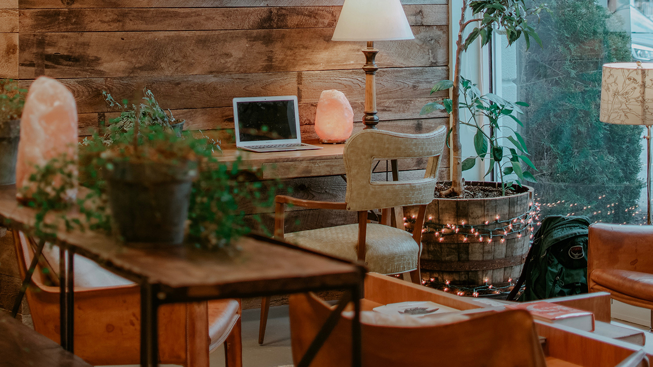 Da casa de banho, à cozinha ou sala. 15 dicas para uma casa mais sustentável