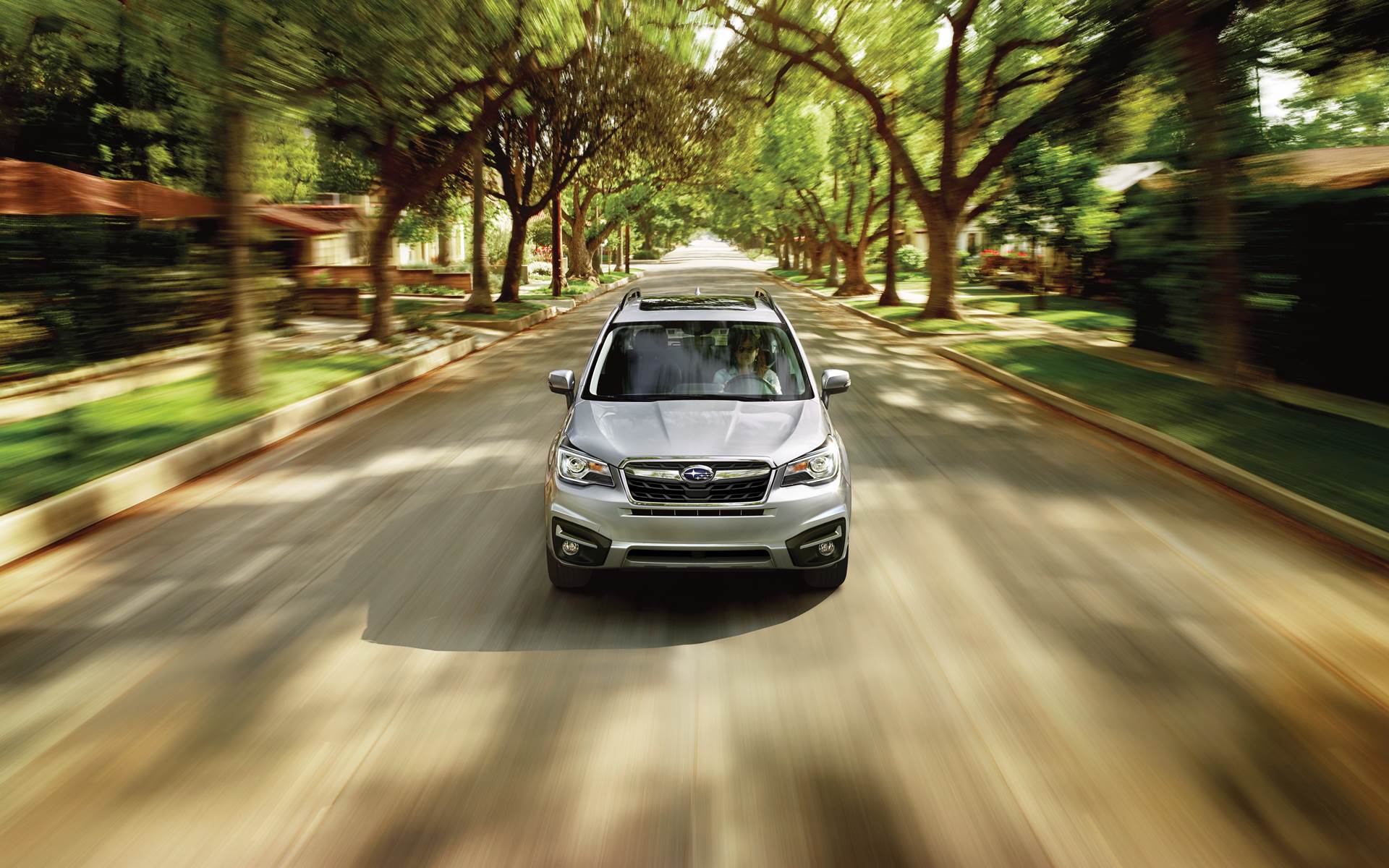 Tino de Rans corrige Miguel Sousa Tavares. “As presidenciais são de cinco em cinco anos”