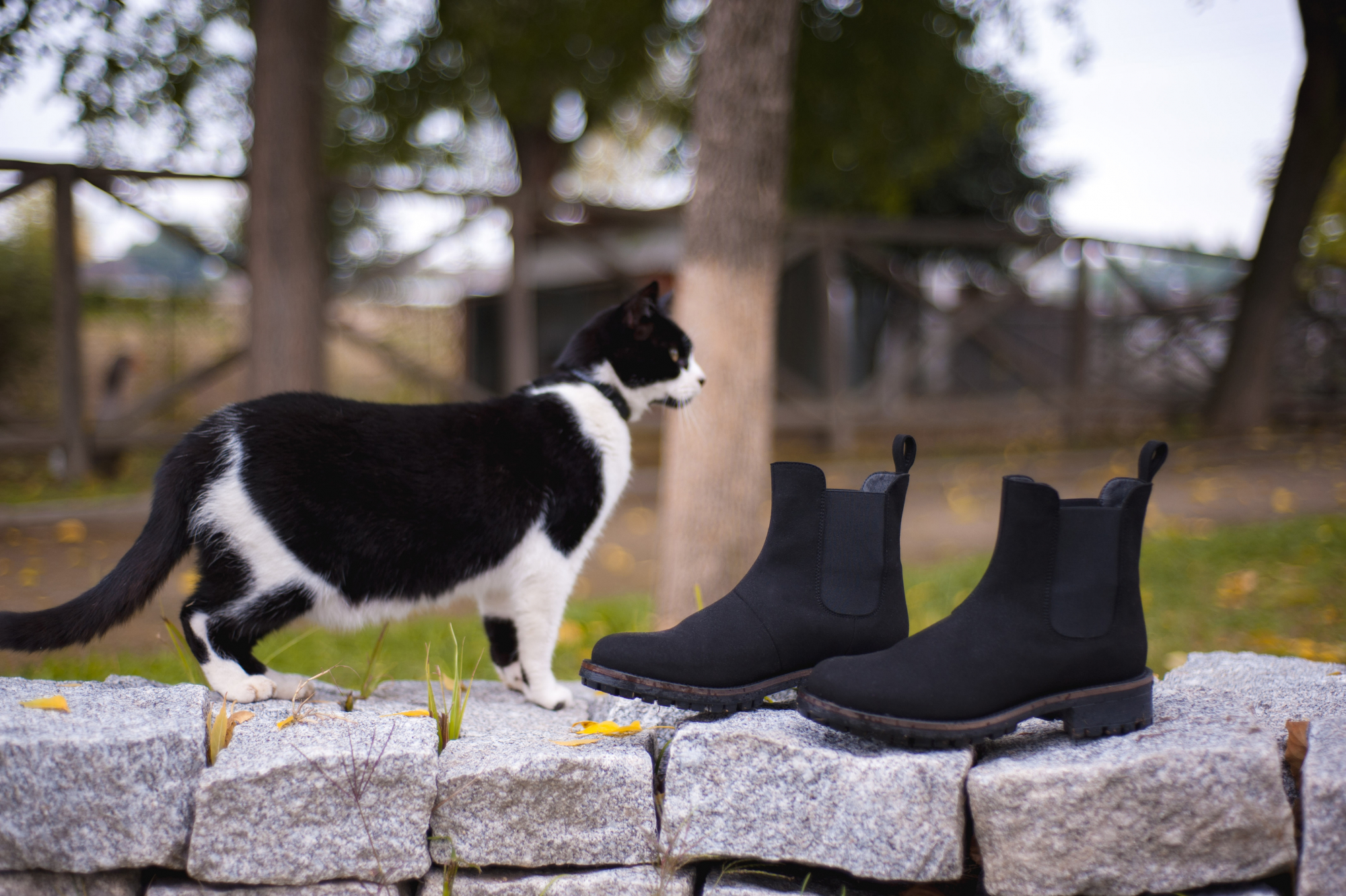 Verney é a marca portuguesa que vende sapatos vegan (e intemporais)