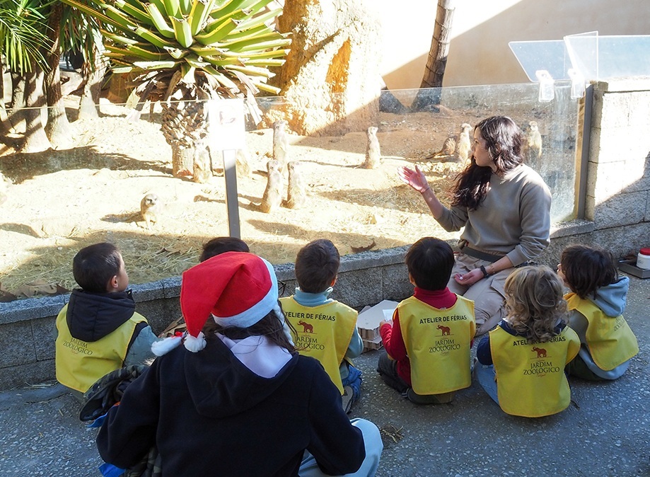 Não sabe o que fazer aos miúdos nas férias de Natal? O Zoo de Lisboa tem a resposta