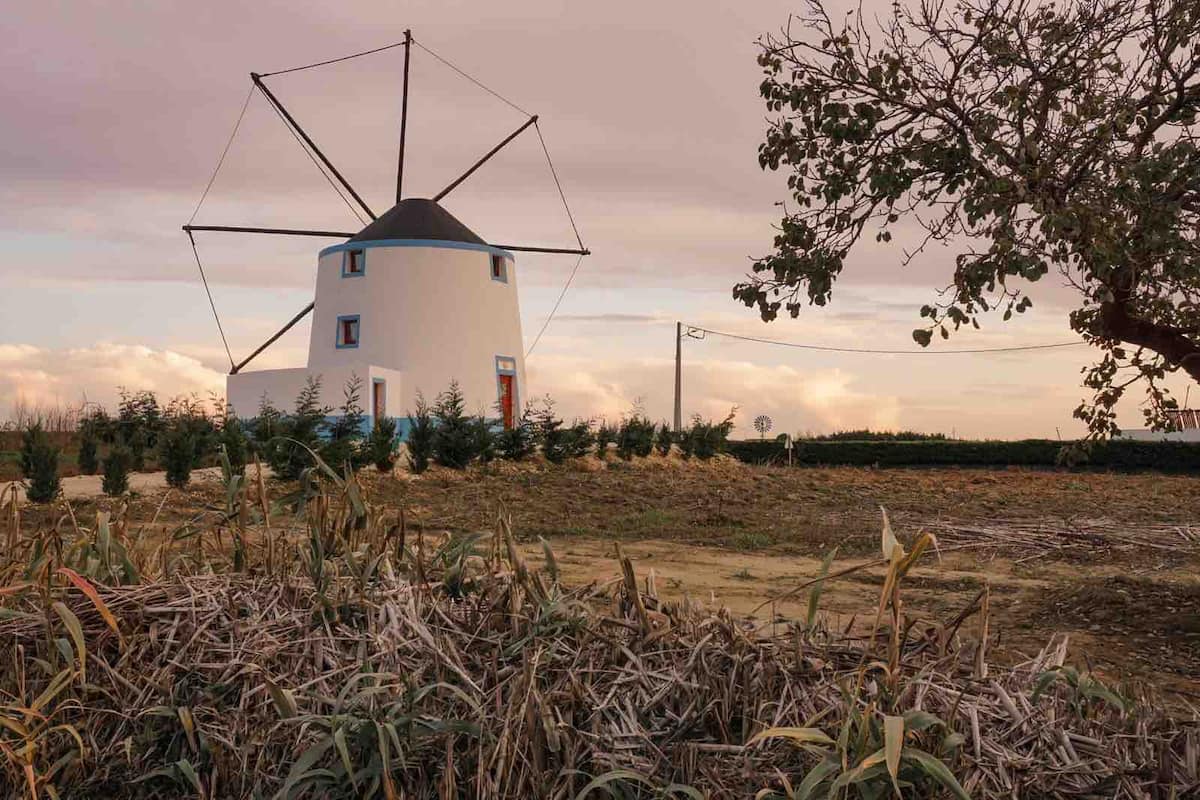 O amor não acontece só no moinho do novo programa da TVI. Apaixone-se por estas 5 sugestões