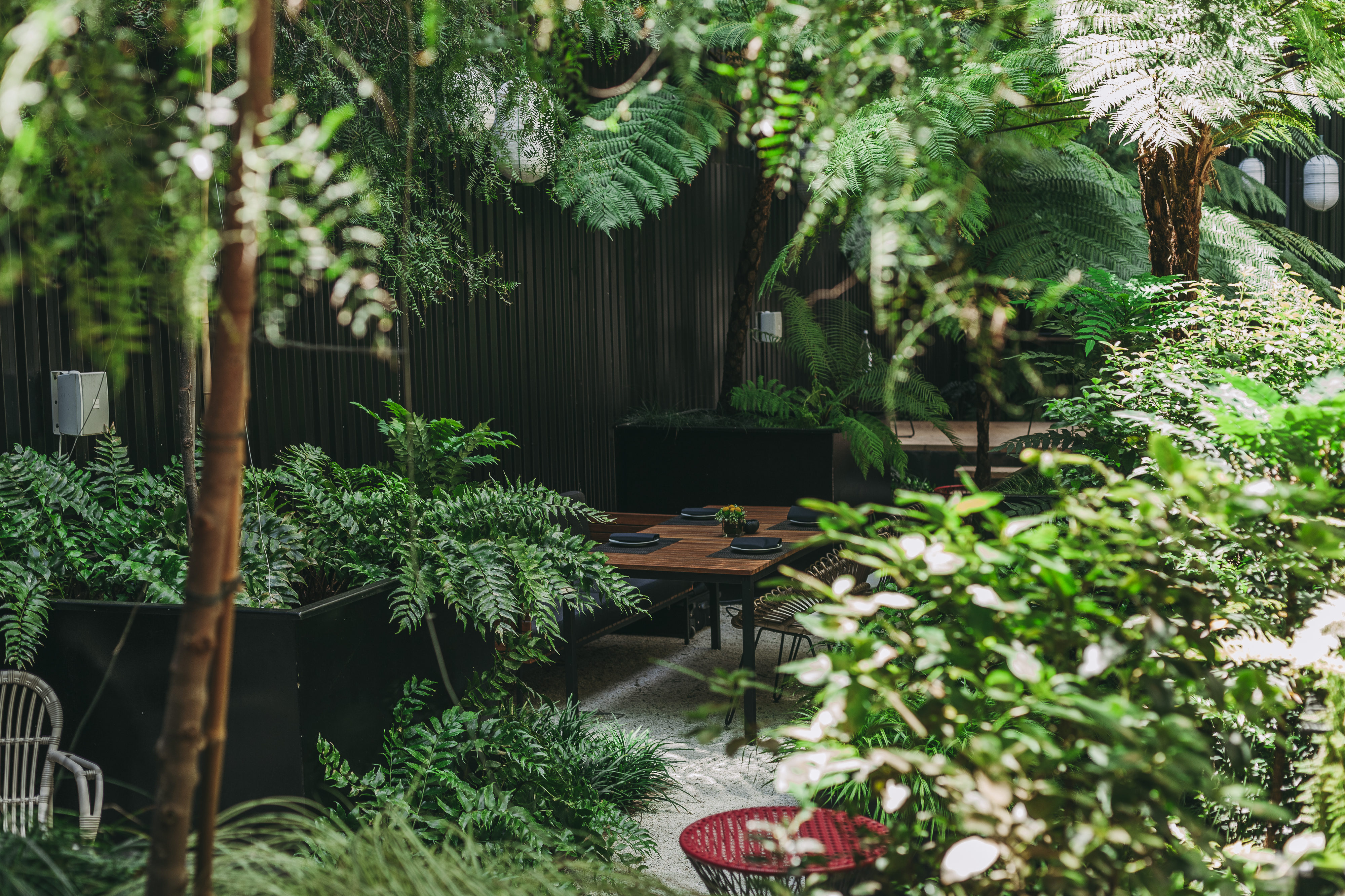 Este domingo, na compra de uma bebida, tem a segunda grátis — e no jardim mais bonito de Lisboa