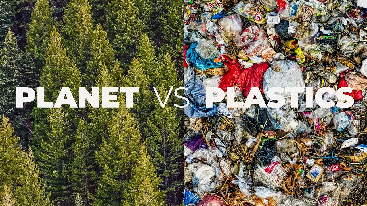 Hoje é o dia da terra. O que pode fazer por um planeta mais sustentável?