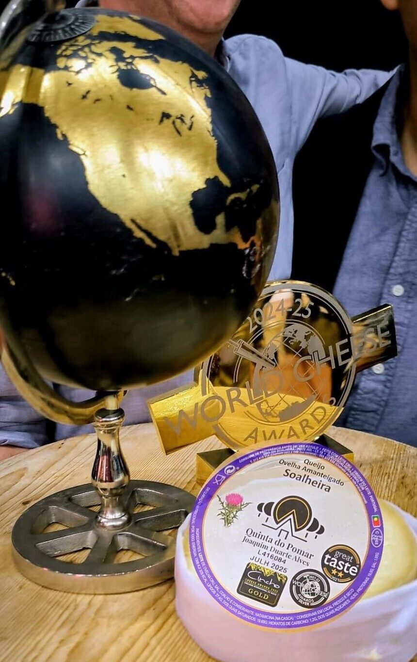 O melhor queijo do mundo é português. Saiba como o pode levar para casa