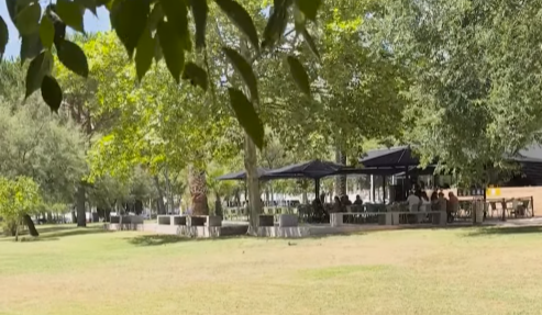 Somersby Out Jazz. O festival mais cool do verão está de volta (e a entrada é gratuita)