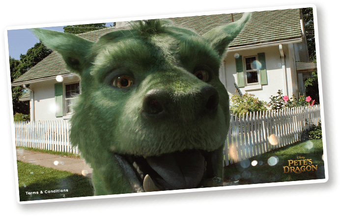 Cremes feitos com plantas do Ártico? Fazem maravilhas pela sua pele e já chegaram a Portugal