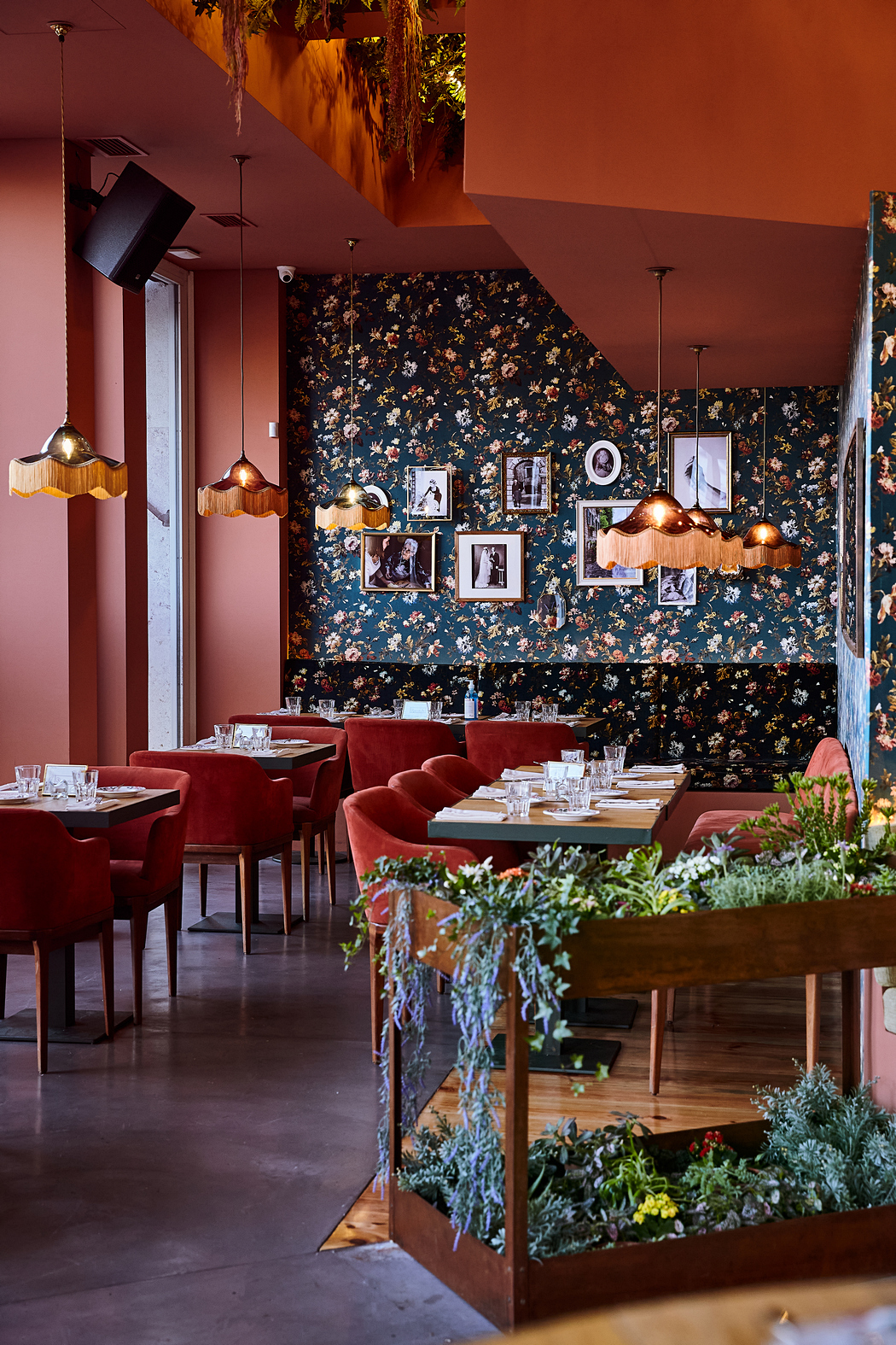 Leve o seu pai a jantar fora ao Sophia na próxima semana. A pizza é por conta da casa