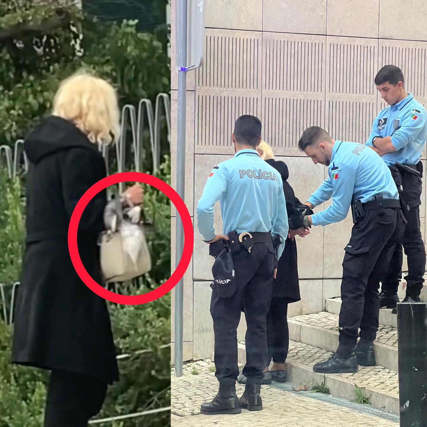 Turista torce o pescoço a uma gaivota e é detida pela PSP no Cais do Sodré. Veja o vídeo