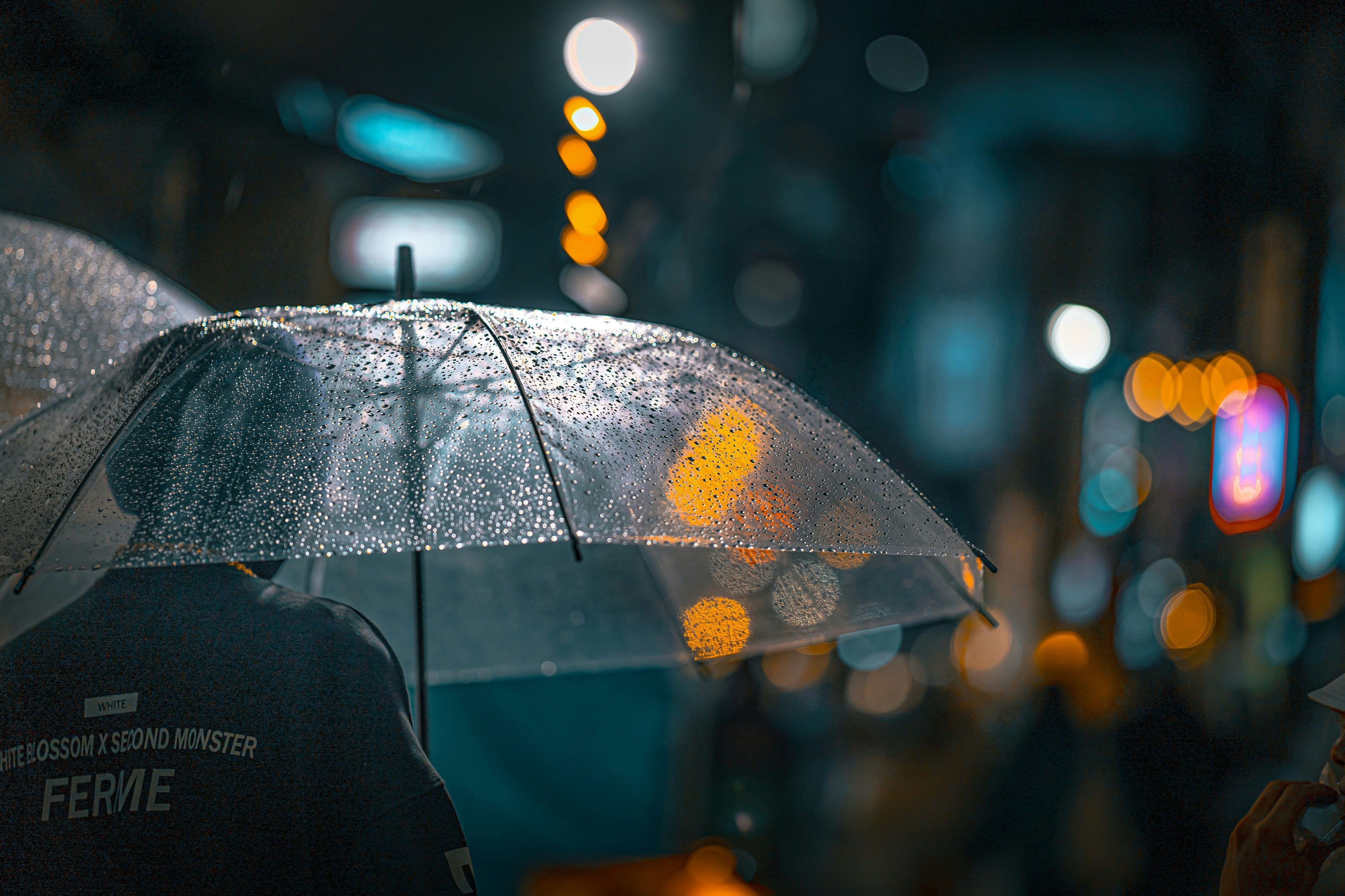 Desalojados, estradas cortadas e transportes interrompidos. Mau tempo volta a afetar Portugal (e vai continuar)