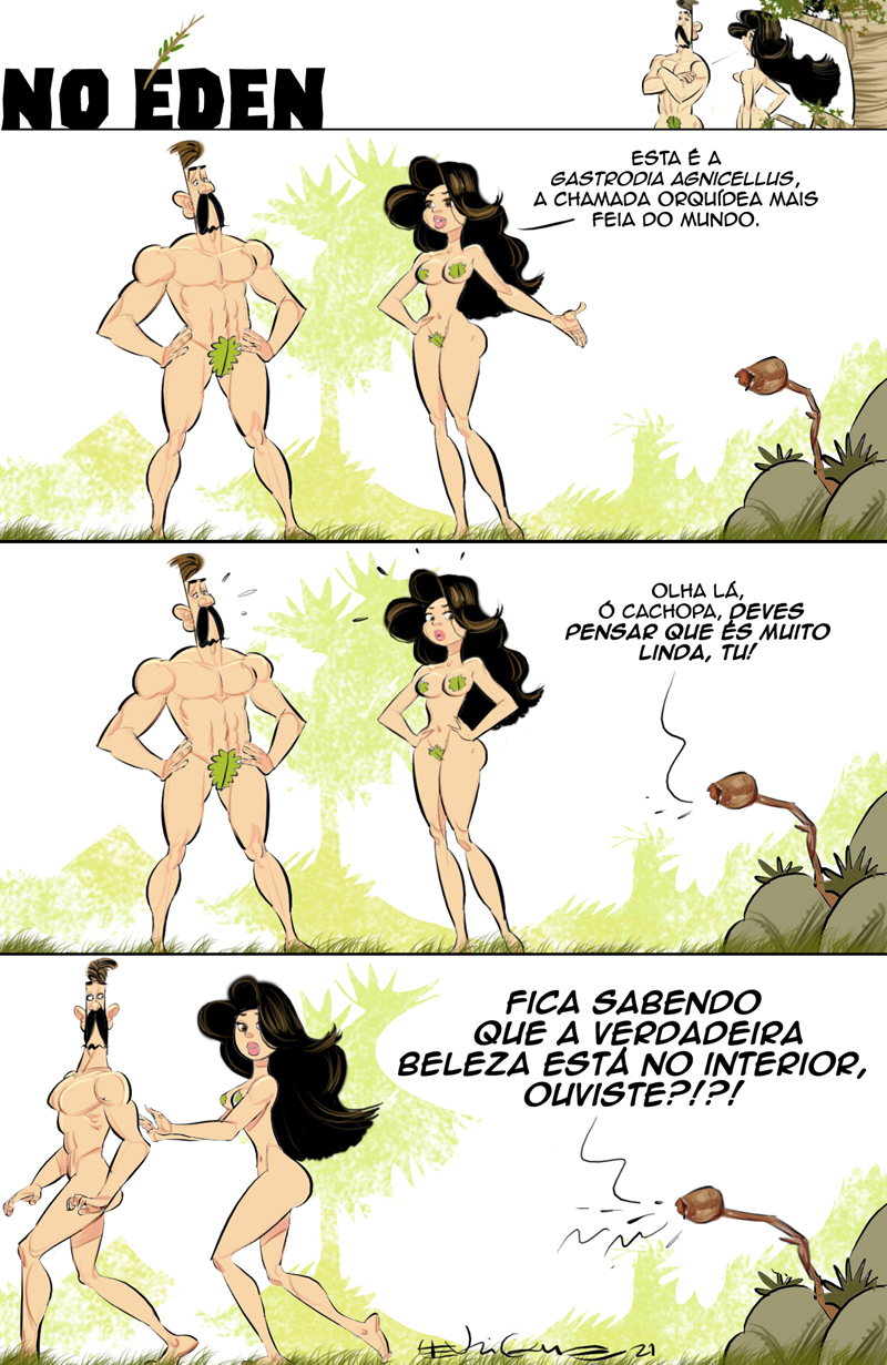 A planta mais sensível do mundo