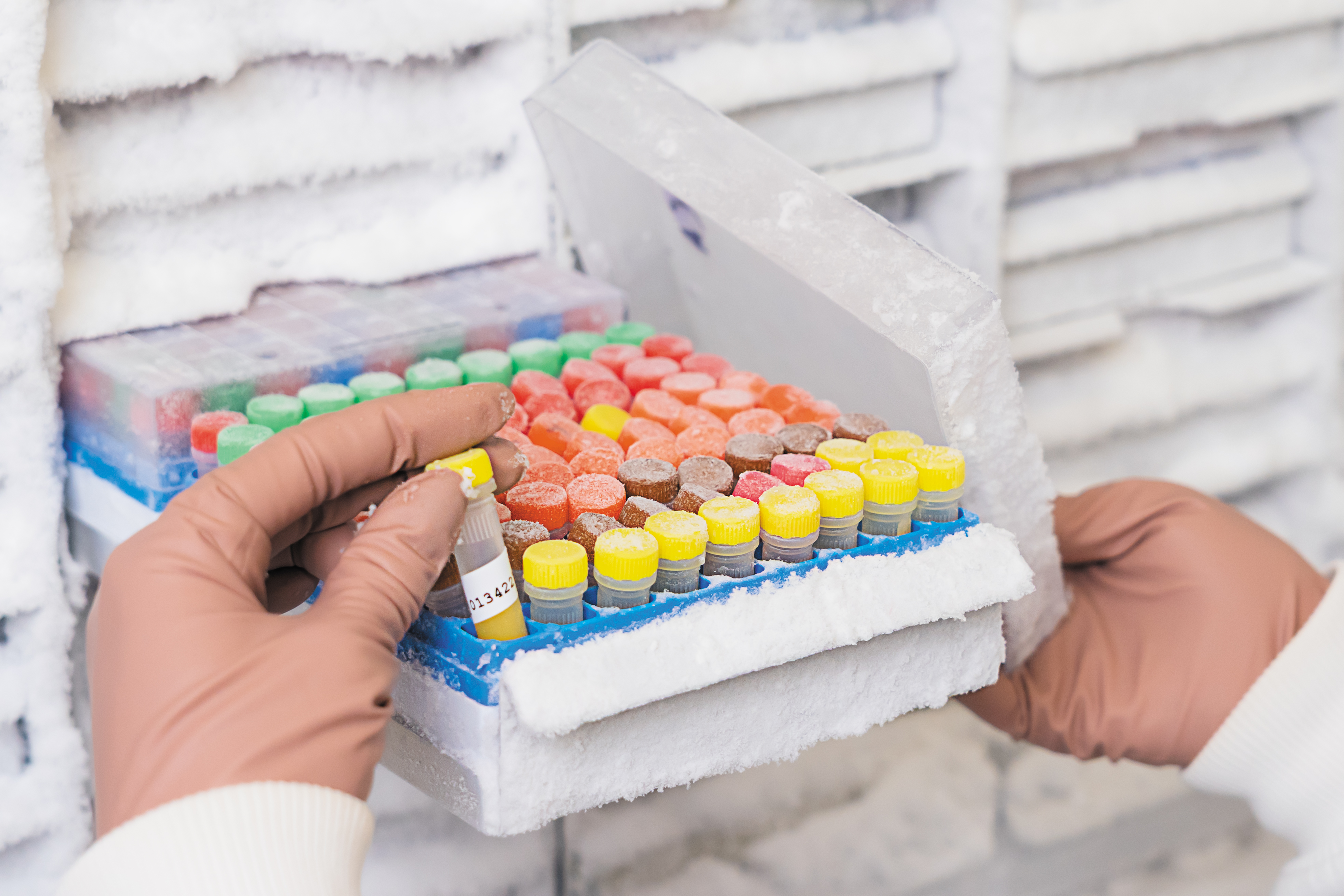 ESA envia para Portugal os materiais biológicos dos astronautas para análise