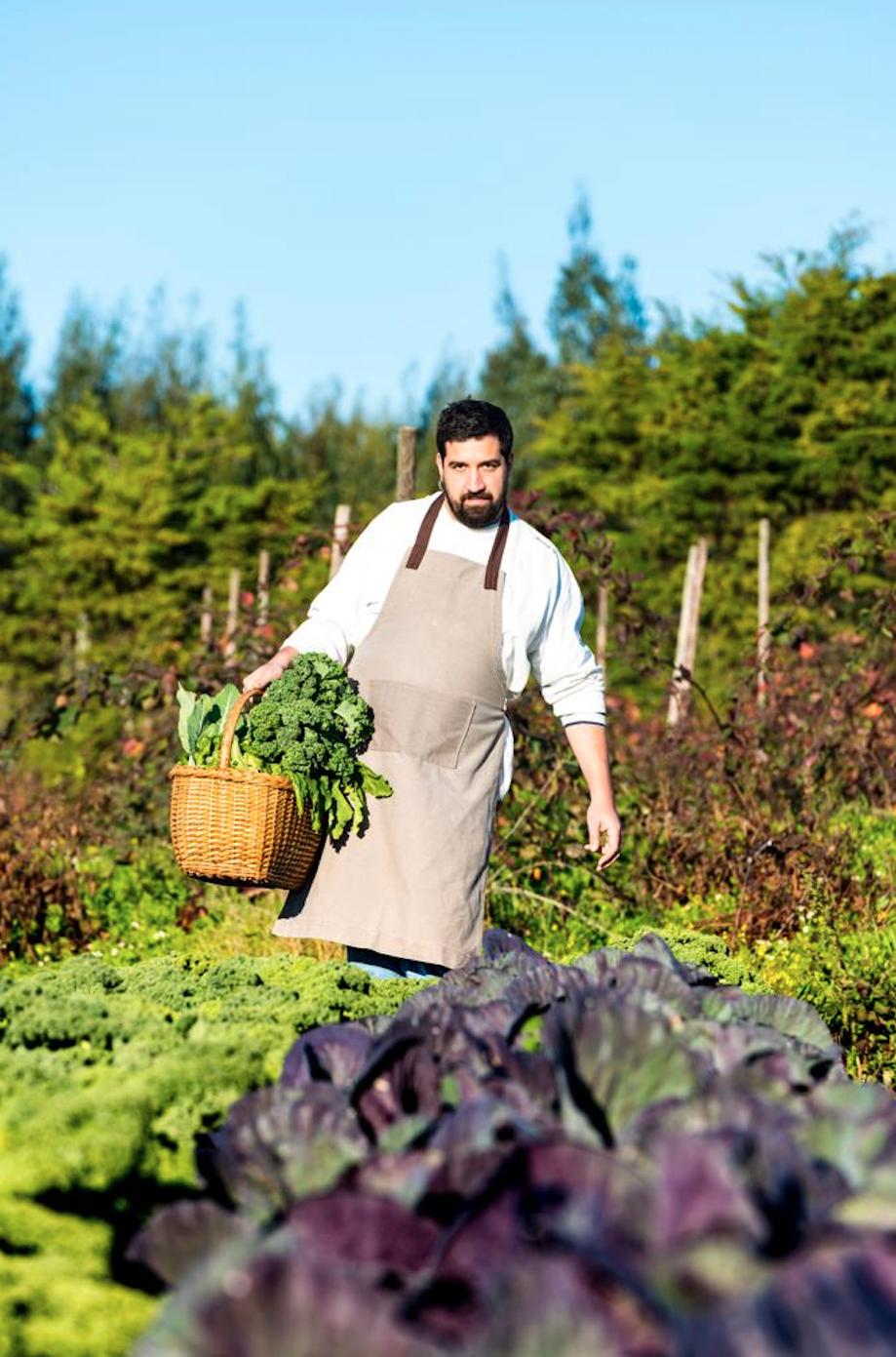 A cozinha do Santa Bárbara está diferente. Manuel Dias pôs a mesa com o melhor dos Açores