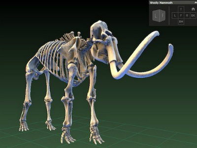 Quando a proteína vem do grão, das amêndoas e dos espinafres