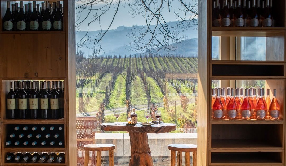 Gosta de vinhos, mas não percebe lá muito do assunto? Esta nova app gratuita tem dicas preciosas