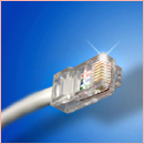 COVID-19. Há mais 6 mortes em Portugal e 232 novos casos