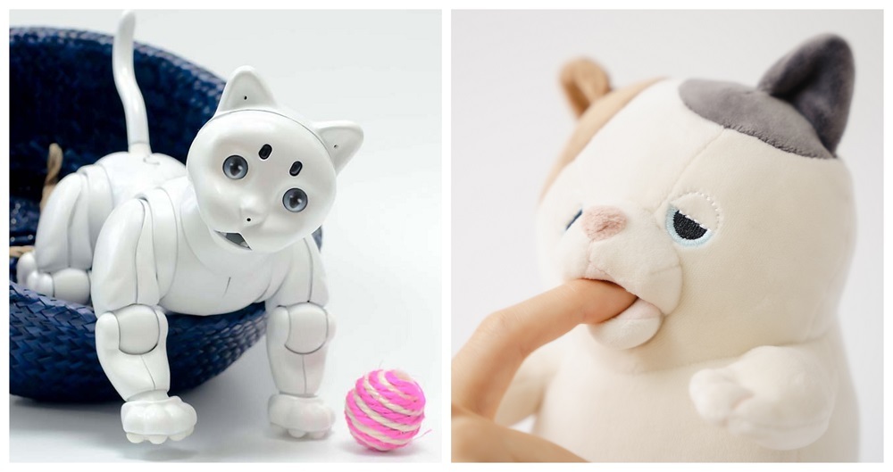 Robóticos, mas adoráveis: Os “tarecos” da CES 2022 que não deixam ninguém indiferente