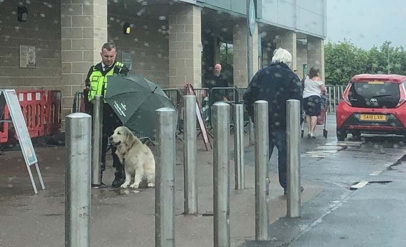 Segurança usa o seu chapéu de chuva para um cão não se molhar e torna-se viral nas redes sociais
