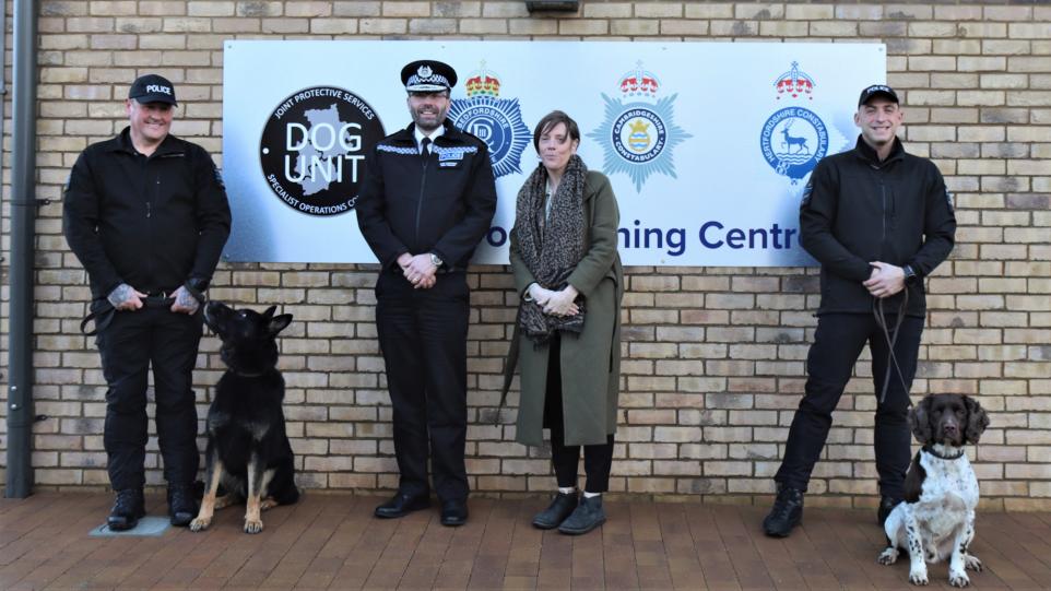 Cães caça-pedófilos. Estes animais até conseguem cheirar cartões de memória