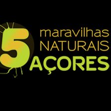 Chega a Lisboa uma exposição sobre o mundo de Harry Potter — e até vai poder jogar Quidditch