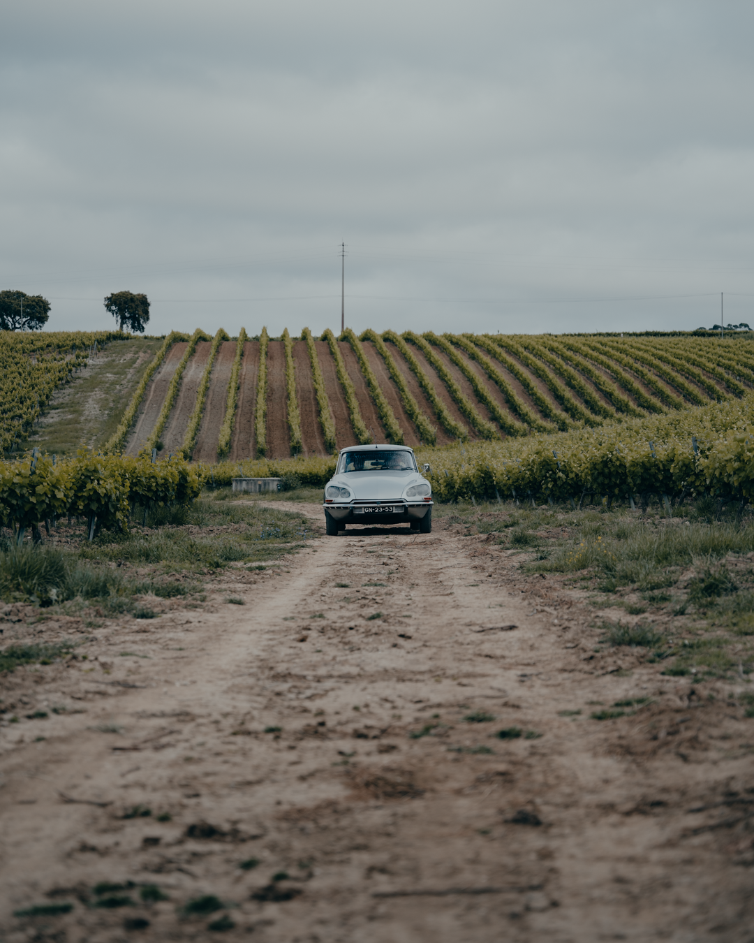 Passeio de carro clássico pelo Oeste e vinhos. O enoturismo está de volta à Quinta da Almiara