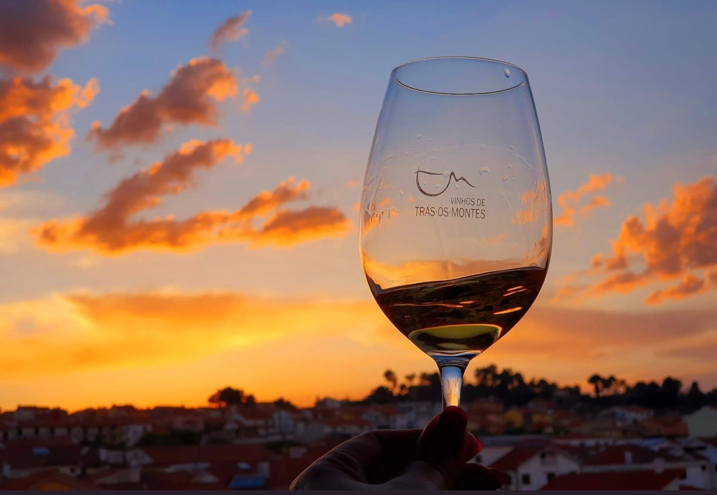 Trás-os-Montes Wine Experience volta com provas de vinhos, jantares harmonizados e muito mais