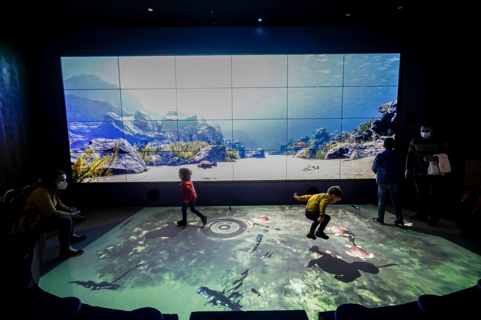 As Marias, as Martas, os Martins ou as Marianas não pagam bilhete no Aquário Vasco da Gama. Saiba porquê