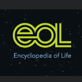 Bárbara Inês esteve em Cuba e revela o que não pode perder na cidade de Havana