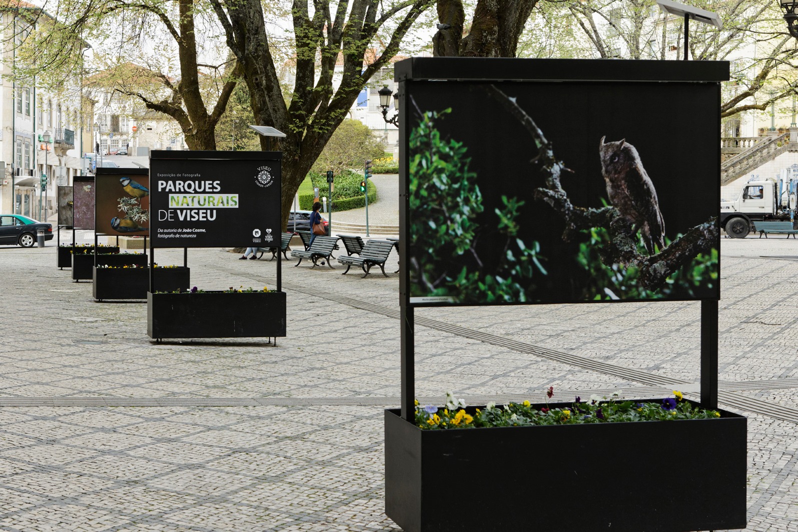 Não ande perdido em Viseu. Com a nova app pode explorar os pontos obrigatórios da cidade