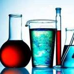 Marta partiu “não acompanhada” para Bali. Objetivo? Aprender mais sobre comida vegan raw