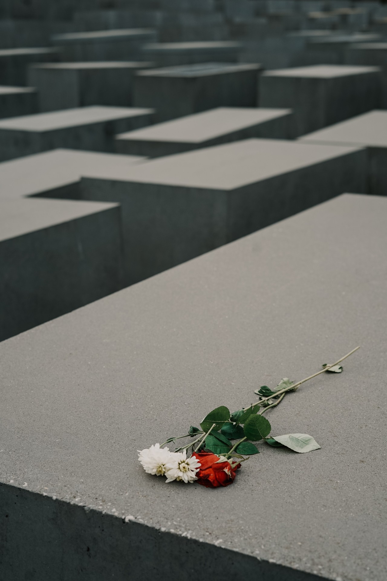 Em Lisboa, triplicou o número de cadáveres por reclamar. Funerárias falam em “cenário de guerra”