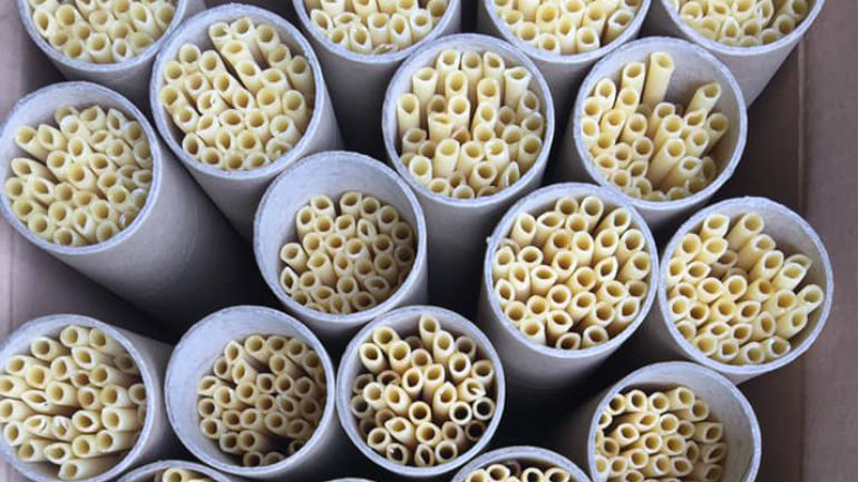 Falámos com os criadores das palhinhas de massa. “O segredo está em cada um de nós e não na abolição do plástico”