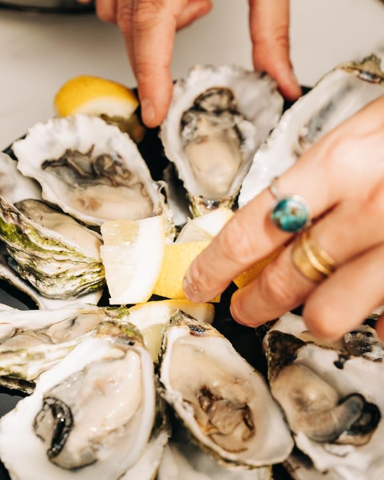 “Ostras a 1€? Parece milagre”. Até o papa vai querer aproveitar esta promoção do Vila Bica