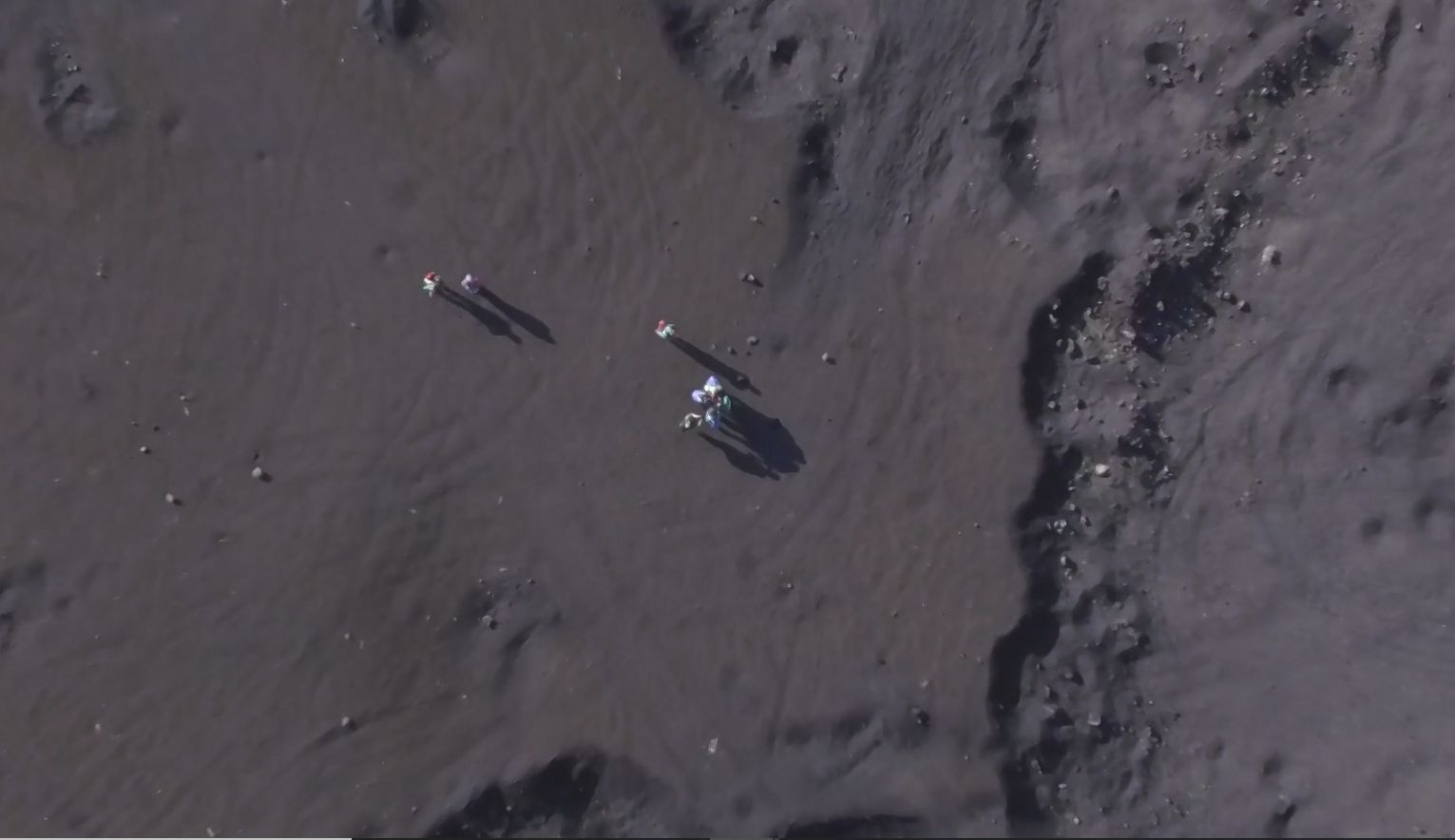 Corra para o areal. No próximo sábado, há hambúrgueres grátis nas praias de Cascais