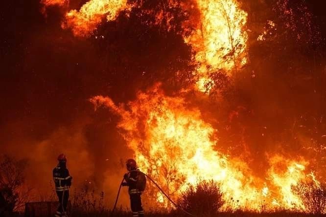 Mulher de 81 anos morreu na sequência do incêndio em Albergaria-a-Velha